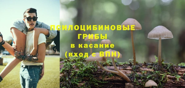PSILOCYBIN Верхнеуральск